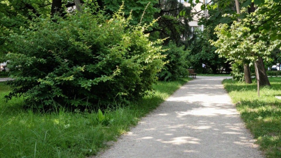 Czy kleszcze bytują w miastach i parkach?