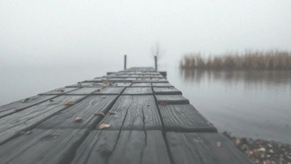 Co powoduje zaniedbanie leczenia boreliozy?