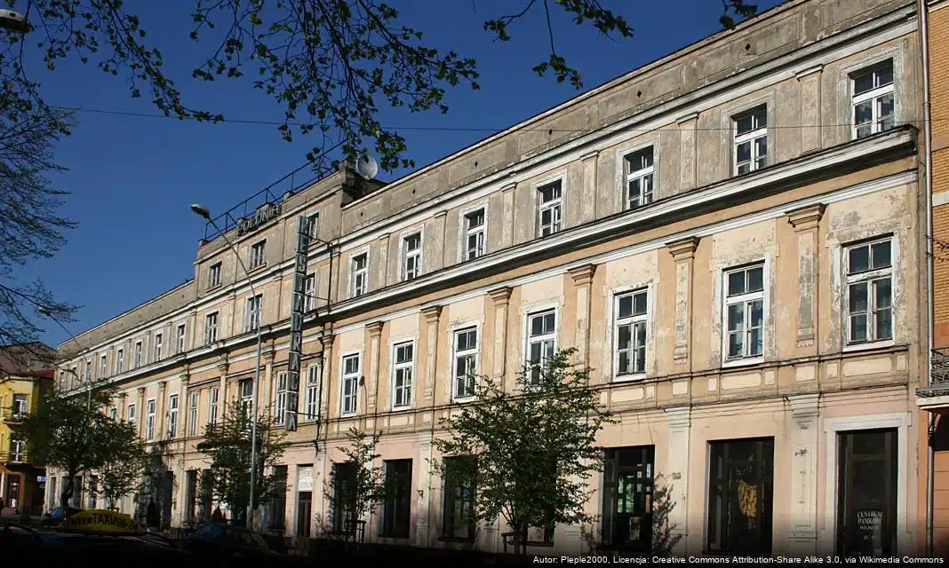 Bezpłatne letnie zajęcia z Związkiem Dużych Rodzin Trzy Plus w Częstochowie