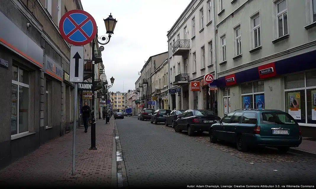 Prace pielęgnacyjne i utrzymanie zieleni w Częstochowie