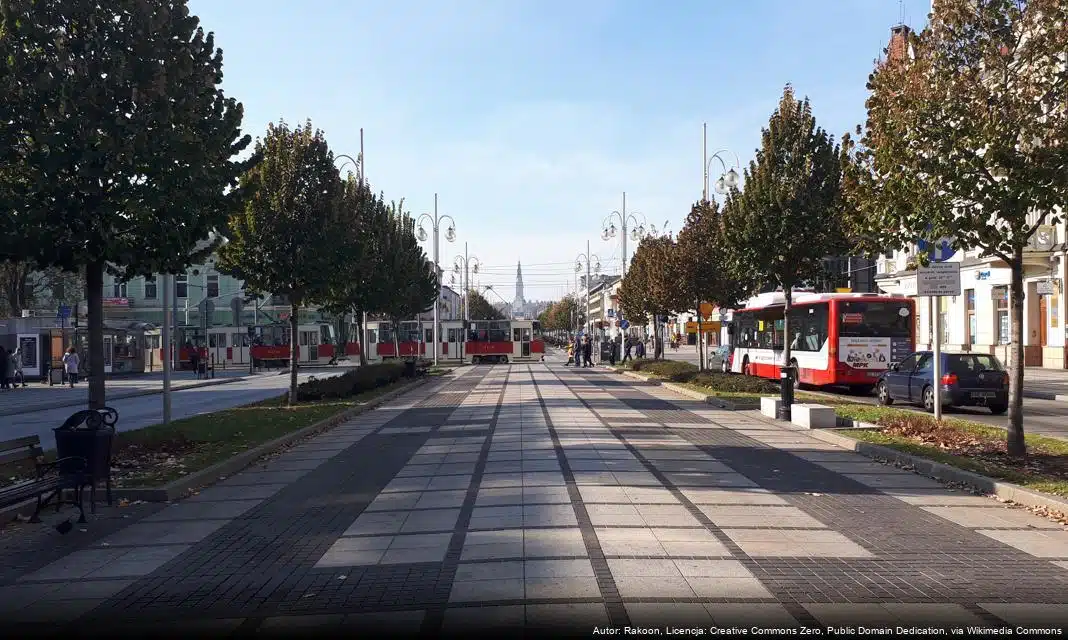 Ogólnopolskie Badanie Liczby Osób w Kryzysie Bezdomności zrealizowane w Częstochowie